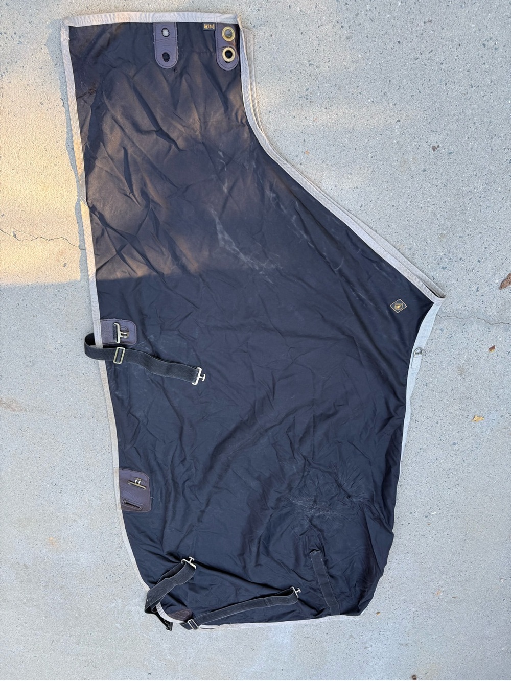 Big D equestrian lightweight sheet labeled 82 inches closed front black